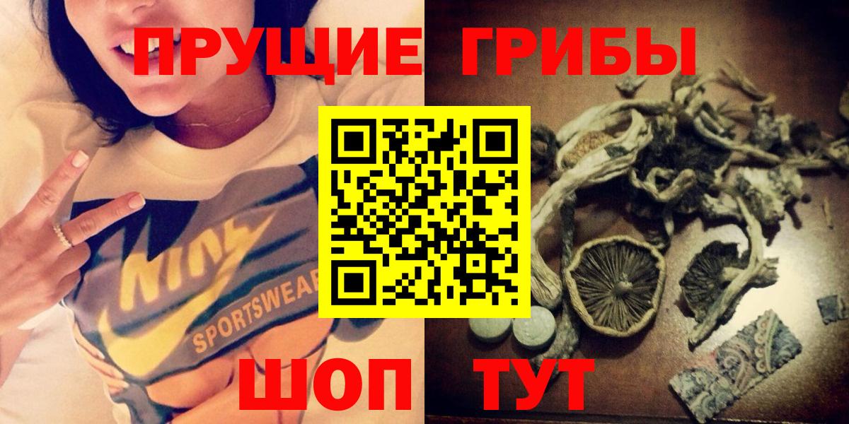 Шатура  Галлюциногенные грибы Psilocybine cubensis  Вход с VPN 