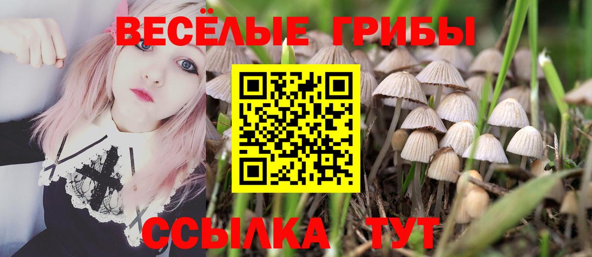 Псилоцибиновые грибы мухоморы Шатура